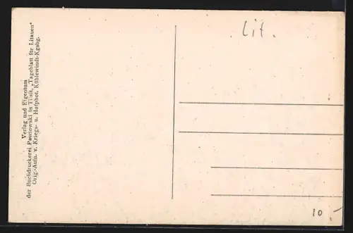 AK Wilna, Totalansicht mit Kirchen