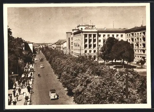 AK Kaunas, Laisvè Avenue