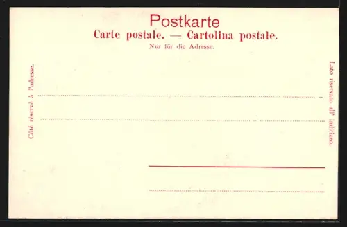 AK Luzern, Promenade mit Strassenbahn