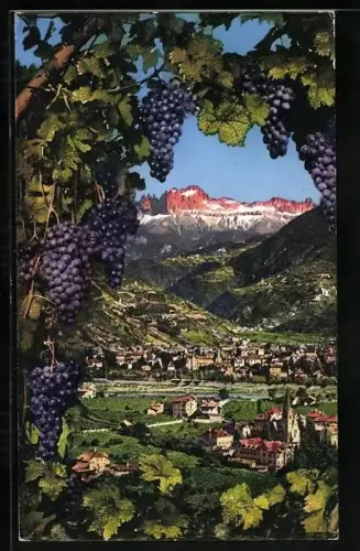 AK Bolzani-Gries, Ortsansicht mit Weintrauben