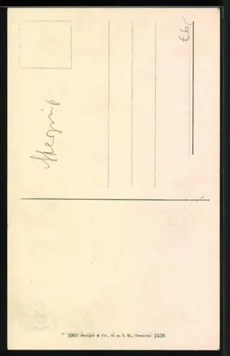 AK Sterzing, Blick durch den Stadtturm