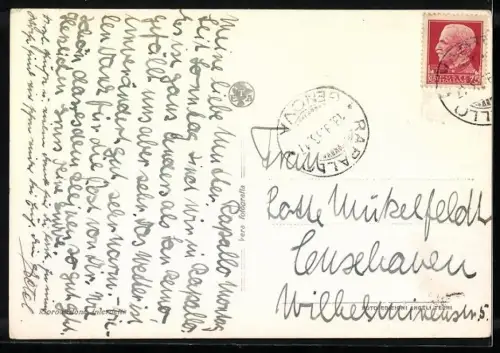 AK Rapallo, Panorama