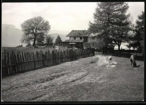 AK Salto presso Bolzano, Albergo Tschaufen