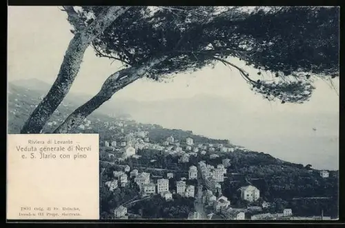 AK Nervi, Riviera di Levante, Panorama e S. Ilario con pino