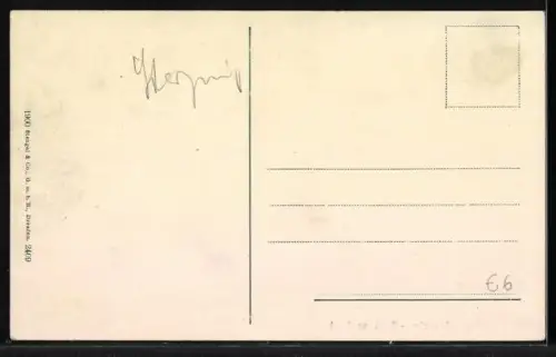 AK Sterzing, Rathaus-Saal, Innenansicht