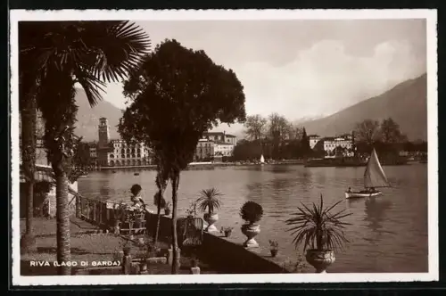 AK Riva /Lago di Garda, Panorama mit Bäumen