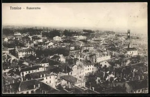 AK Treviso, Panorama mit Bäumen