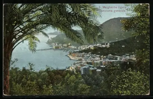 AK S. Margherita ligure, Panorama generale