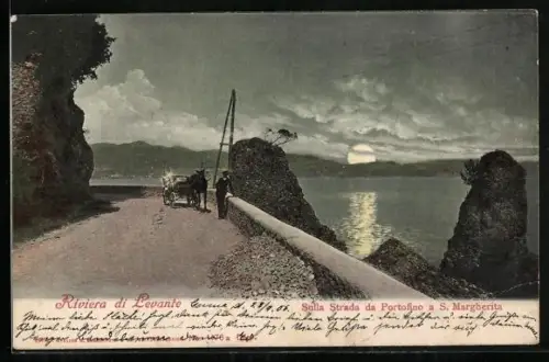 AK Portofino /Riviera di Levante, Sulla Strada da Portofino a S. Margherita