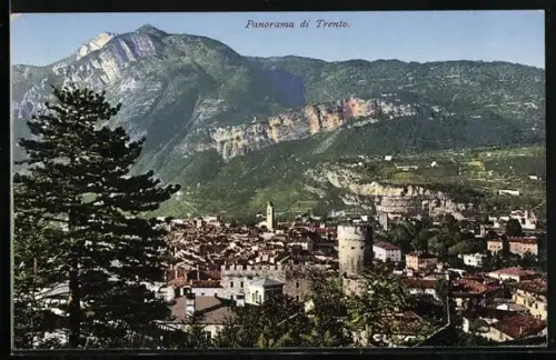 AK Trento, Panorama