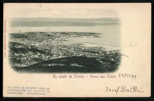 AK Trieste, Vista generale