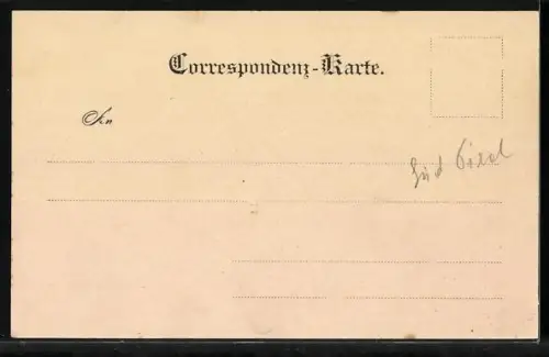 AK Niederdorf i. Pusterthal, Gesamtansicht