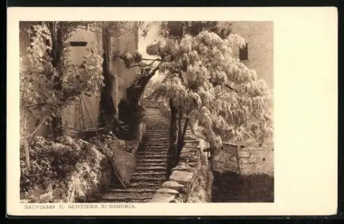 AK Gandria, Wegpartie mit Glyzinien