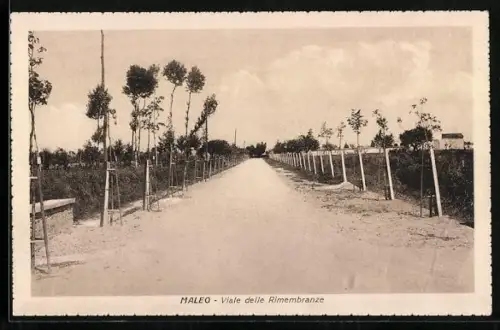 AK Maleo, Viale delle Rimembranze