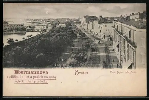 AK Livorno, Viale Regina Margherita