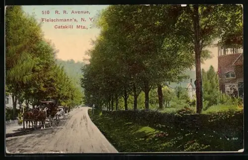 AK Catskill Mts., NY, Fleischman`s, R. R. Avenue
