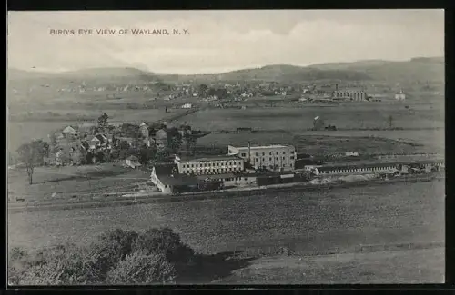AK Wayland, NY, Birds Eye View of Wayland