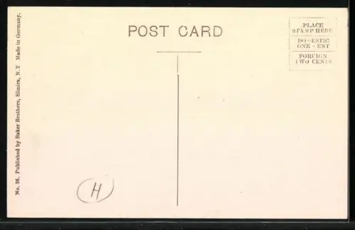 AK Wayland, NY, Birds Eye View of Wayland