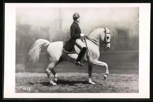 AK Reiter der Spanischen Reitschule in Wien, Pferdesport