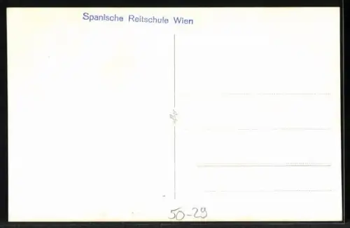 AK Reiter der Spanischen Reitschule in Wien, Pferdesport