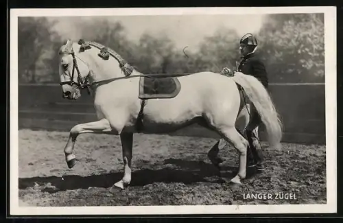 AK Reiter mit langem Zügel, Spanische Reitschule in Wien, Pferdesport