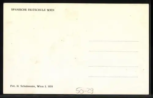AK Reiter mit langem Zügel, Spanische Reitschule in Wien, Pferdesport