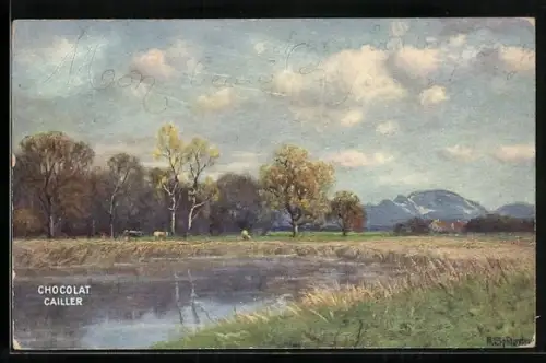 AK Cailler`s, Chocolat au Lait Suisse, Flusslandschaft, Kakao, Reklame für Schokolade