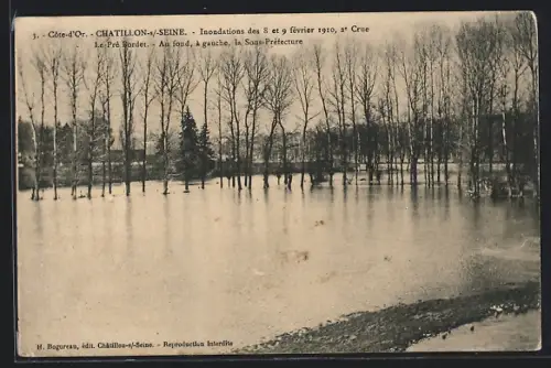 AK Chatillon-s-Seine /Côte-d`Or, Inondations de 1910, 2e Crue, Le Pré Bordet, Au fond, à gauche, la Sous-Préfecture