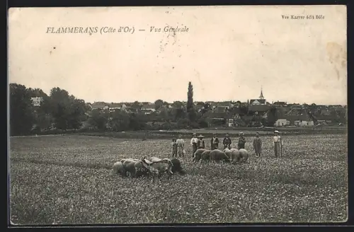AK Flammerans /Côte d`Or, Vue Générale