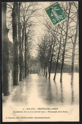 AK Chatillon-sur-Seine, Inondations des 20 et 21 Janvuer 1910, Promenade de la Douix