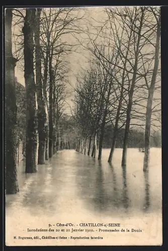 AK Chatillon-sur-Seine, Promenade de la Douix, Inondations Janvier 1910