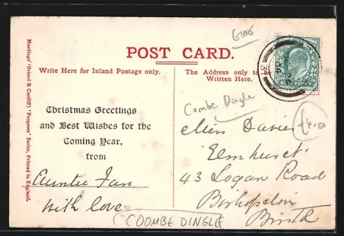 AK Coombe Dingle, Tea Gardens, Old Apple Tree