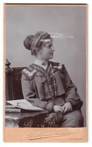 Fotografie Th. Alfred Hahn, Chemnitz, Brückenstrasse 5, Porträt einer Dame