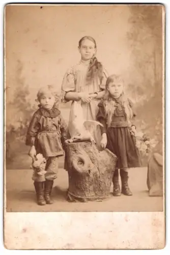 Fotografie N. L. Gesnokova, St. Petersburg, drei russische Kinder mit einem ausgestopften Kakadu, Taxidermie