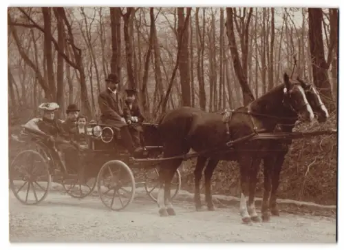 Fotografie Familie in einer Pferdekutsche beim Ausritt im Wald