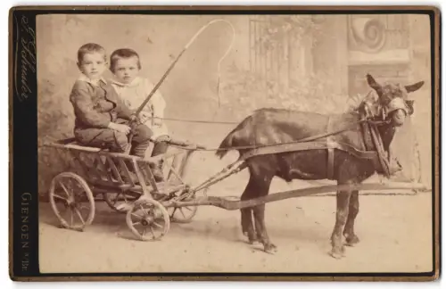 Fotografie J. Schuster, Giengen a. Brenz, junge Knaben auf Wagen eine Ziegengespann mit Peitsche