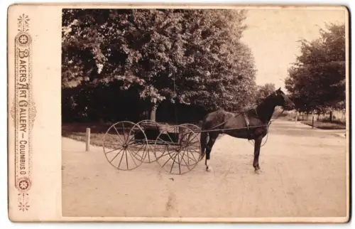 Fotografie Baker`s Art Gallery, Columbus / OH., amerikanischer Buggy und Traber, Pferdekutsche