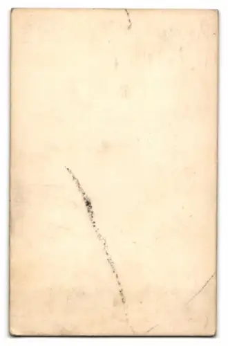 Fotografie Frankenstein, Wien, Portrait Maria Anna von Savoyen, Kaiserin von Österreich, nach einem Gemälde