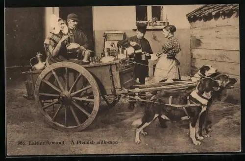 AK Flämisches Hundegespann, Milchverkauf