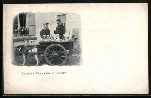 AK Laitière flamande et Agent