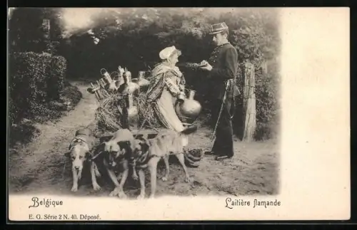 AK Belgique, Laitière flamande