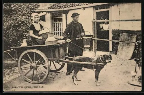 AK Zeeuwsche Hondenkar