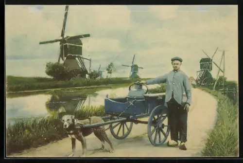 AK Z. Holland, Hondenkar, Molen