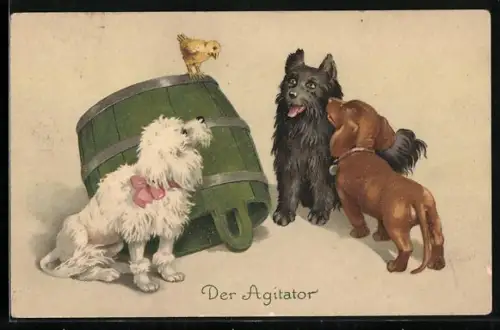 AK Der Agitator, Küken wird von Dackel, Pudel und Spitz bestaunt