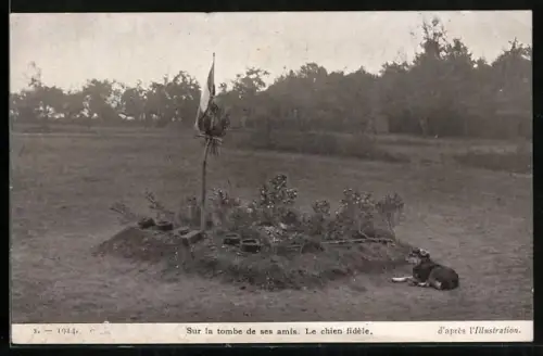 AK Sanitätshund am Massengrab gefallener Soldaten