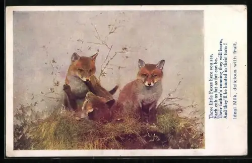 AK The Fox, A handsome fleet-footed creature with a very bushy tail, Füchse spielen im Gras, Nestle-Werbung