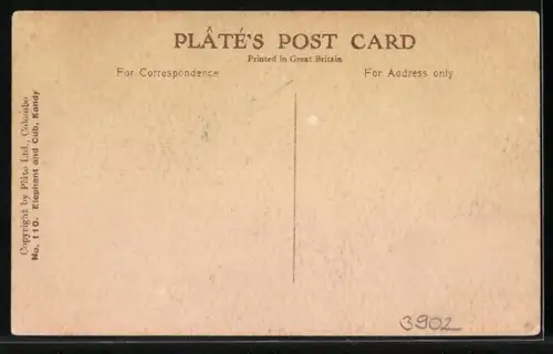 AK Singalese mit Elefant und Jungtier