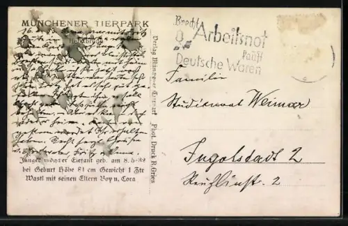 AK München, Münchner Tierpark Hellabrunn: junger indischer Elefant