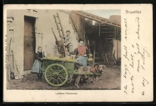 AK Bruxelles, Laitière Flamande