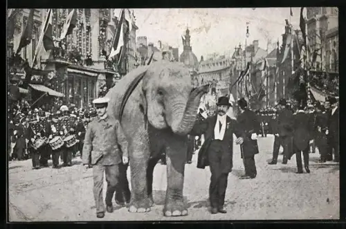AK Anvers, Fetes coloniales 1909, Cortège, L`éléphant
